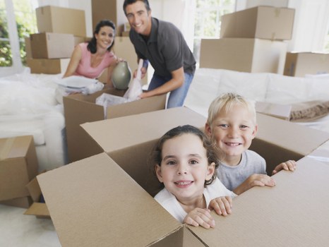 Man and van service in Finsbury Park helping with local moving and transport